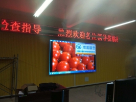 陽新一中初中部1樓學術報告廳
